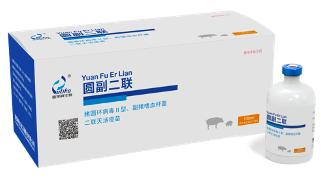 猪非瘟预防,圆环副猪怎么治疗