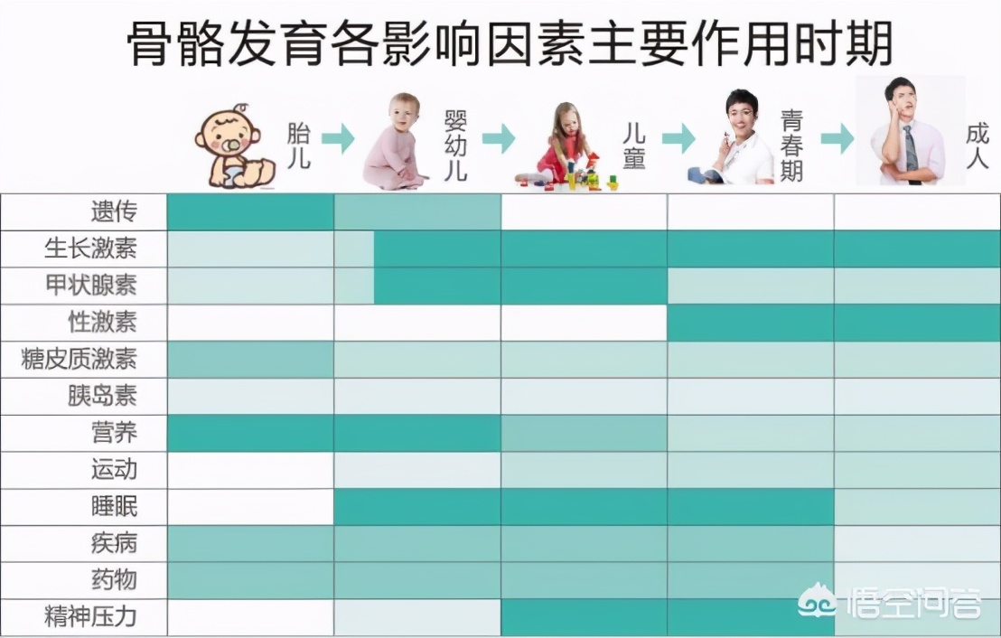 双胞胎身高差大怎么回事,双胞胎身高比父母矮很多怎么回事