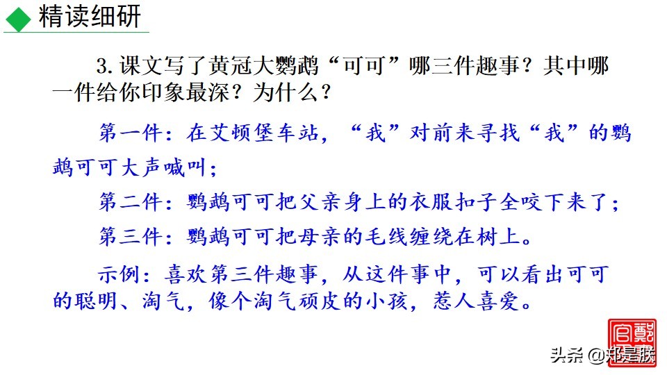 七上人教版第十七课动物笑谈课件,七上语文动物笑谈