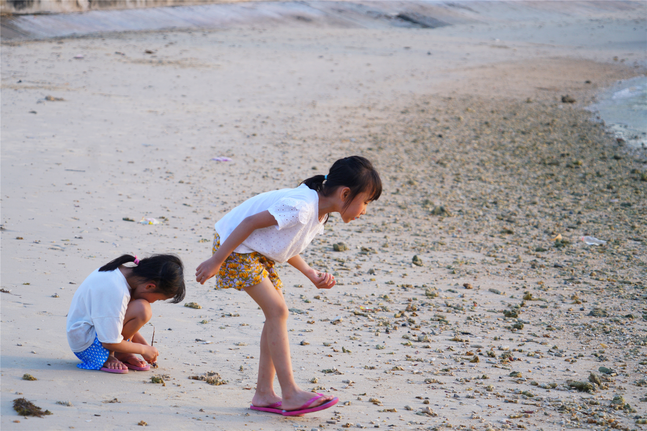 风下之乡小说,沙巴落日最美的时候