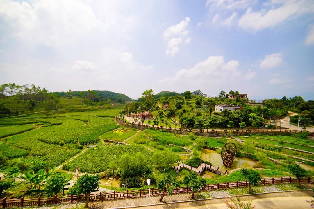 厦门特色旅游小镇,厦门两镇上榜省全域生态旅游小镇