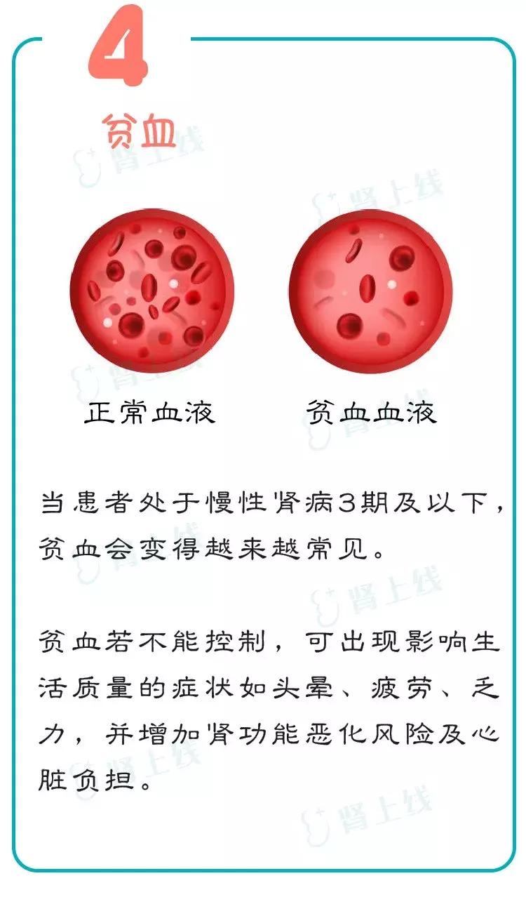 慢性肾病三期还能不能治愈,慢性肾病一定会发展尿毒症吗