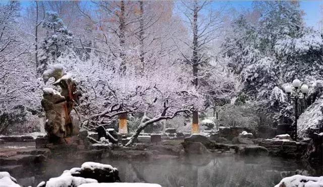 冬季山东山泉水最美最有韵味？济南山泉水美？泰山上下一片银白？