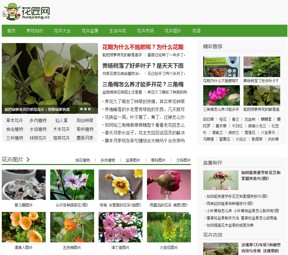 花儿为啥这样红,花儿为什么这样红科普小视频