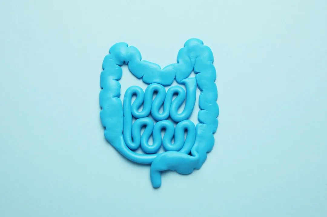 目前对合生元最官方的定义是什么,合生元是真的假的