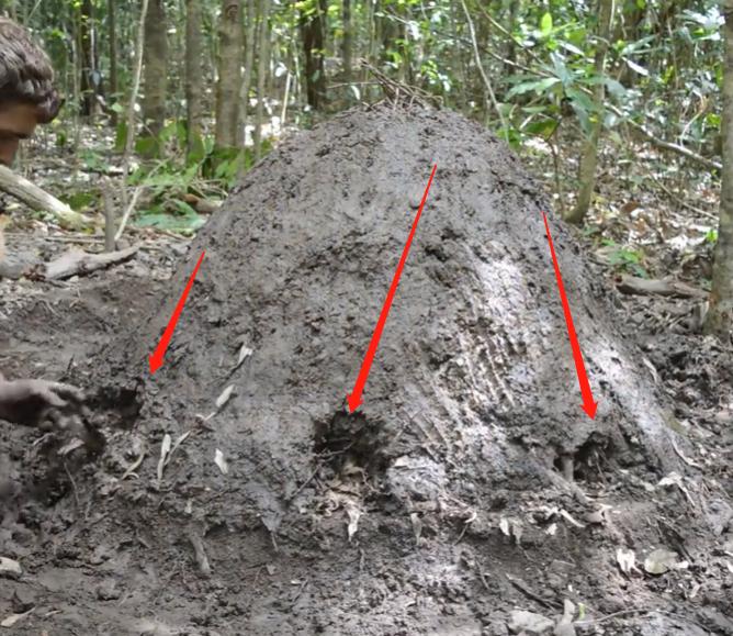 原始木炭烧制原理,古法烧制木炭的关键技术要点