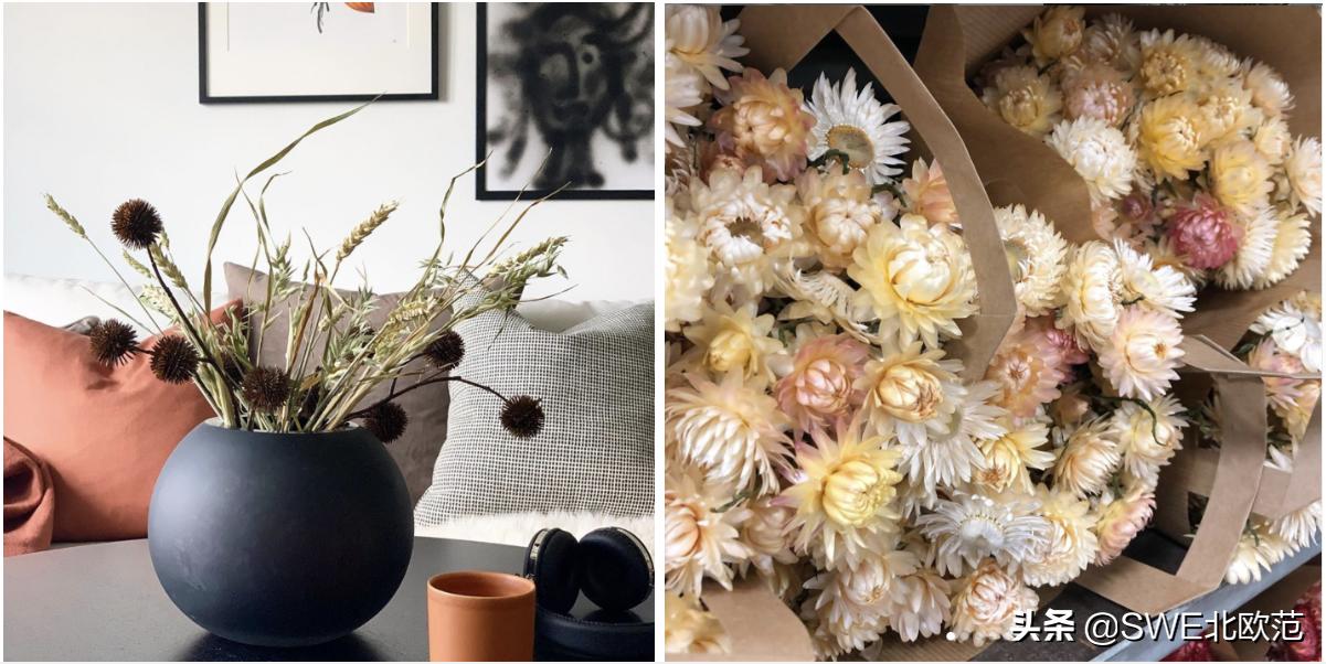 超级平价的淘宝店推荐,平价北欧风淘宝店