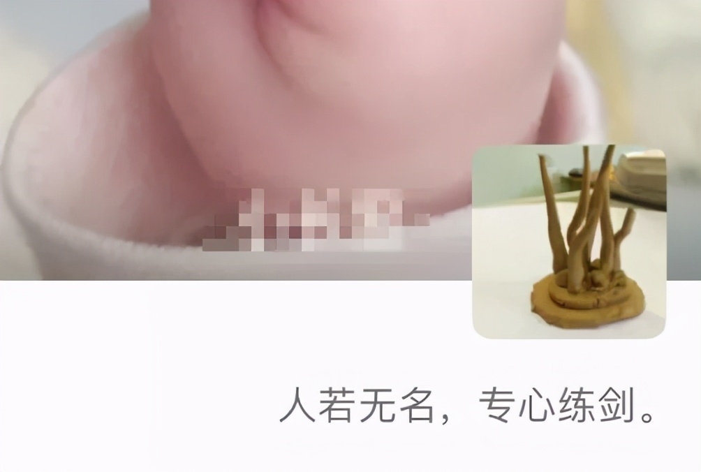 养娃的段位,养娃段位全文