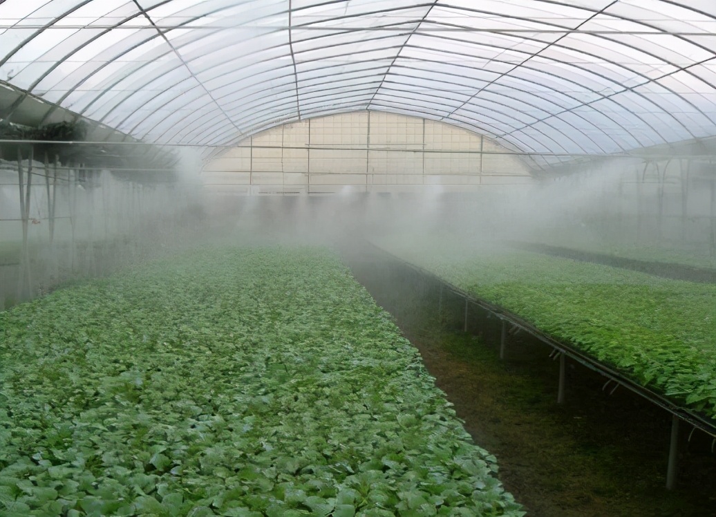 雾森系统高压喷雾设备怎么选,高压雾森系统安装人工费