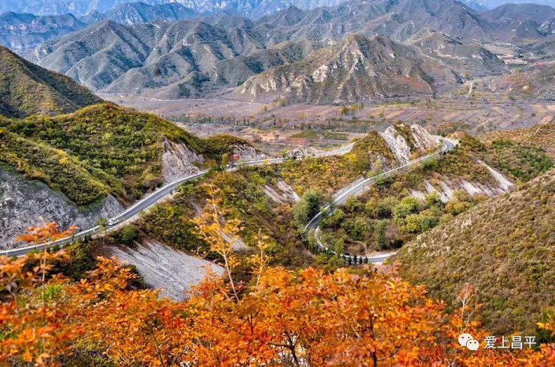 昌平区适合一日游玩踏青的地方,4月中旬昌平区最值得去的景点
