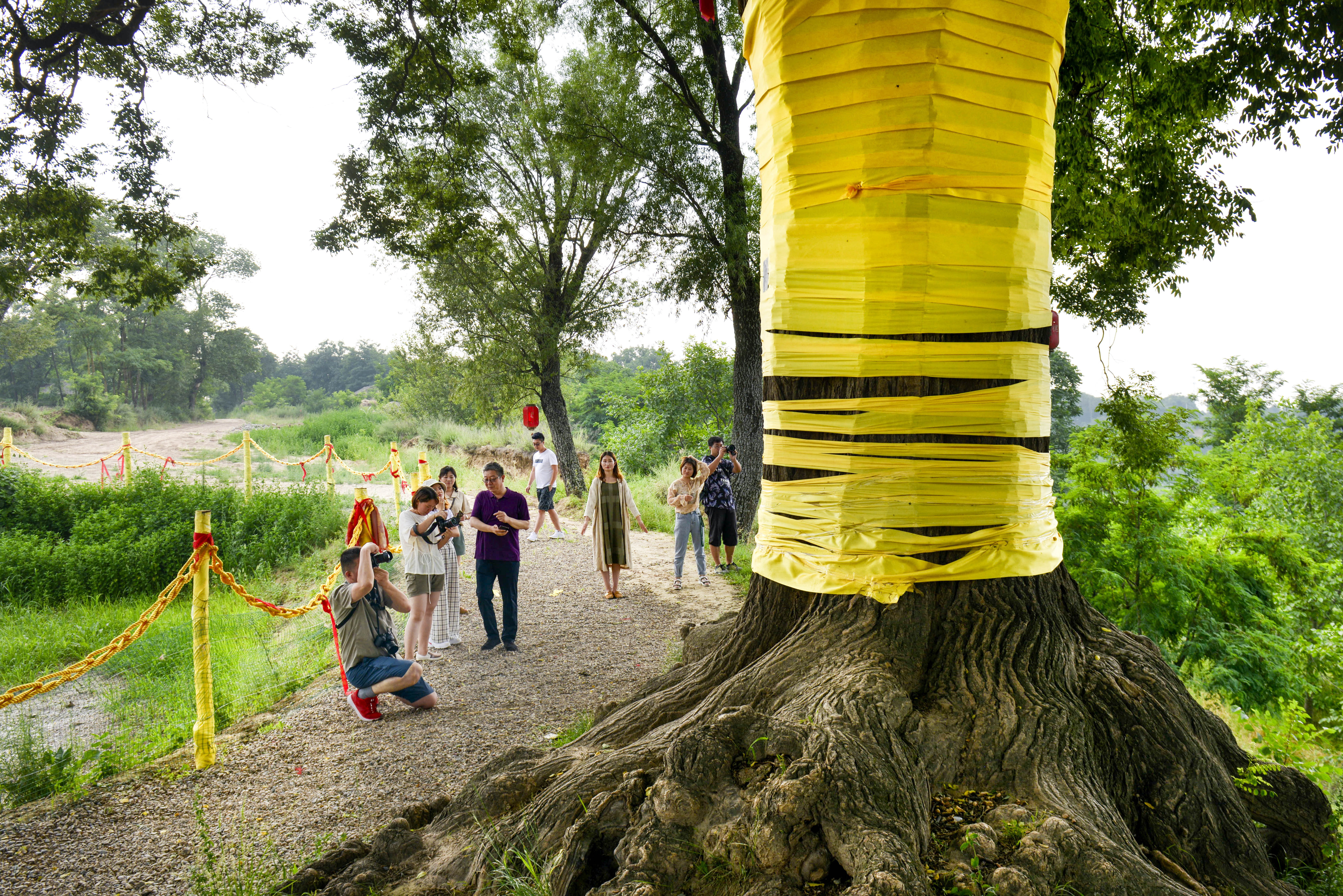 鹑觚怎么读意思是什么,鹑觚这两个字怎么读