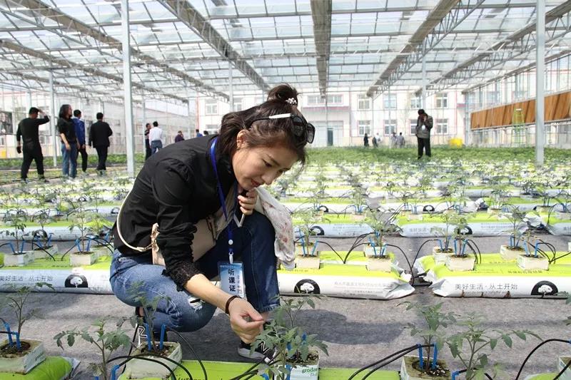 抢名额，19期中国无土栽培和土壤种植技术升级集成培训会