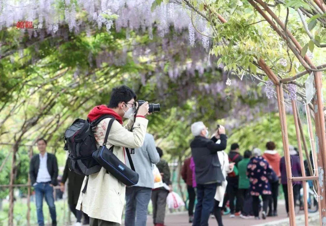 周边有什么可逛的地方吗,4月适合去哪儿旅游攻略