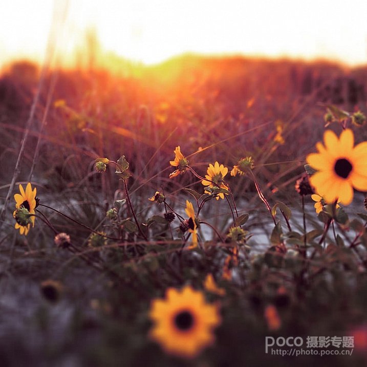 炫光攻略,眩光一招搞定