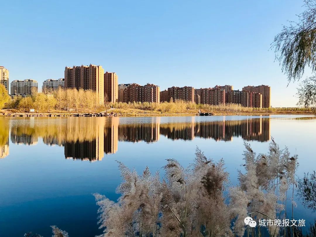 城晚拍拍丨秋色如画