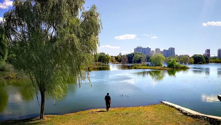 昌平哪个地方的公园最好,昌平区主要公园及景点