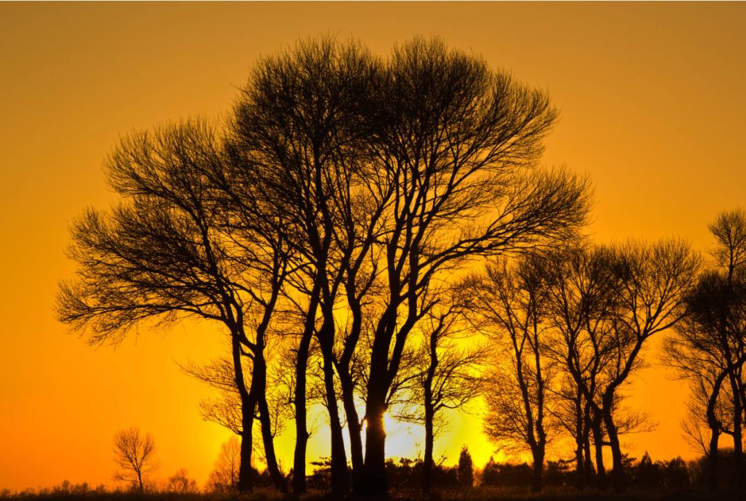 迟子建散文经典美句摘抄,好时光悄悄溜走迟子建