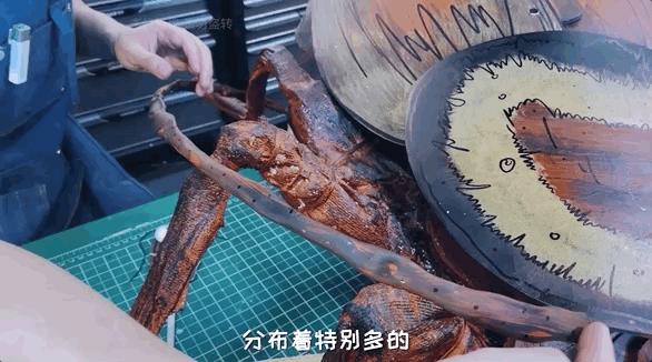 模型师消除家里蟑螂的模型,老袁如何消灭家里的蟑螂