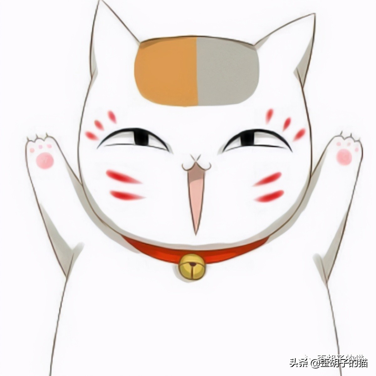 「歪胡子的猫」盘点中美日动漫中的猫咪现实中的样子