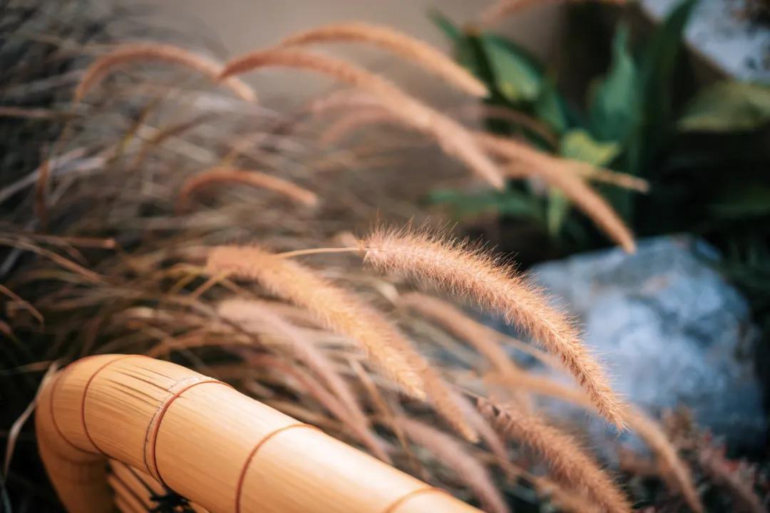 这家国宾馆，简直就好看的不像是国宾馆