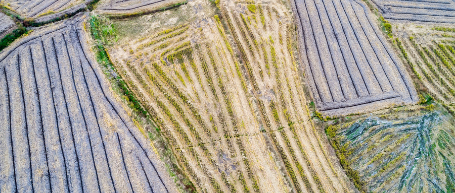 主动退出农村户口有什么政策,取消农村户口农民宅基地怎么处理