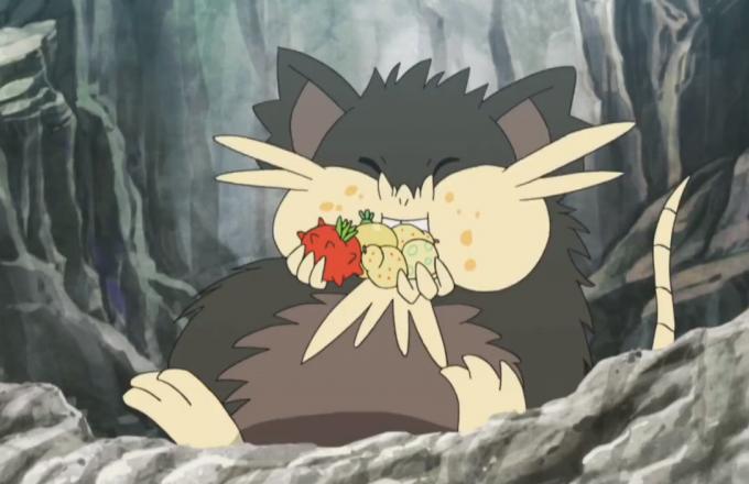 《宝可梦》生态与来源：凶神恶煞的拉达其实是非常萌的荷兰猪？