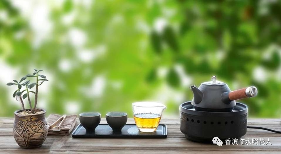 创新作文大赛第十四届获奖名单,2016创意作文大赛