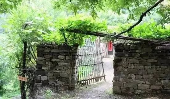 老嫂子直播间,老嫂嫂