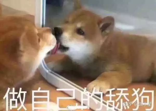 被骗感情又被骗钱,被骗钱骗感情后如何走出心理阴影