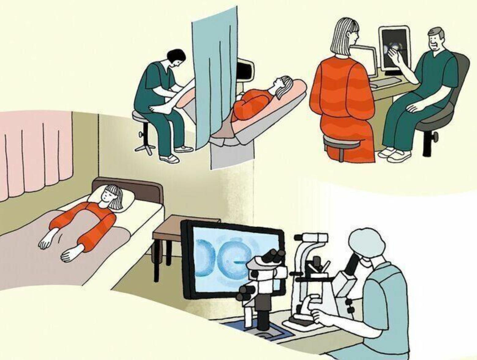 了解试管婴儿或ICSI的过程咨询日本专家指导