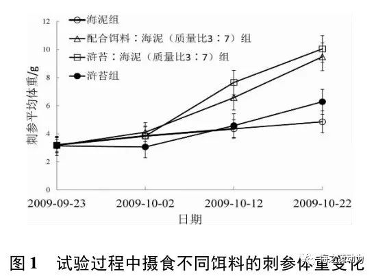 浒苔营养成分分析与投喂刺参试验