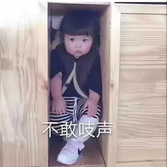 圈儿姐全部视频,圈儿姐视频完整版