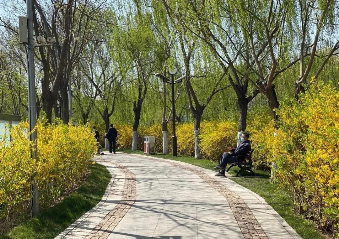 一个不出郑州的踏青好去处,天津春游公园推荐
