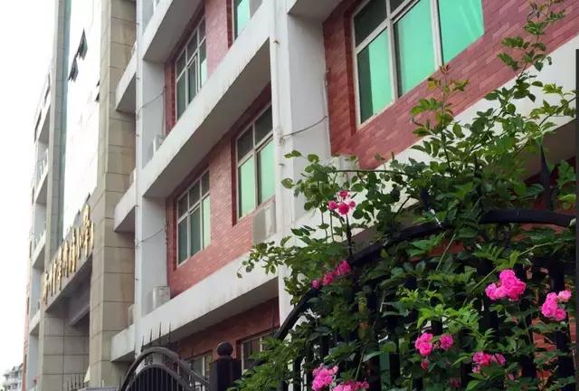 遍地教育盘，高新区真是学区房性价比之王？看看你们关心的学区房