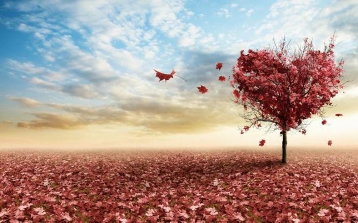 如果你爱的人不爱你怎么办,如果你爱的人突然不爱你了怎么办