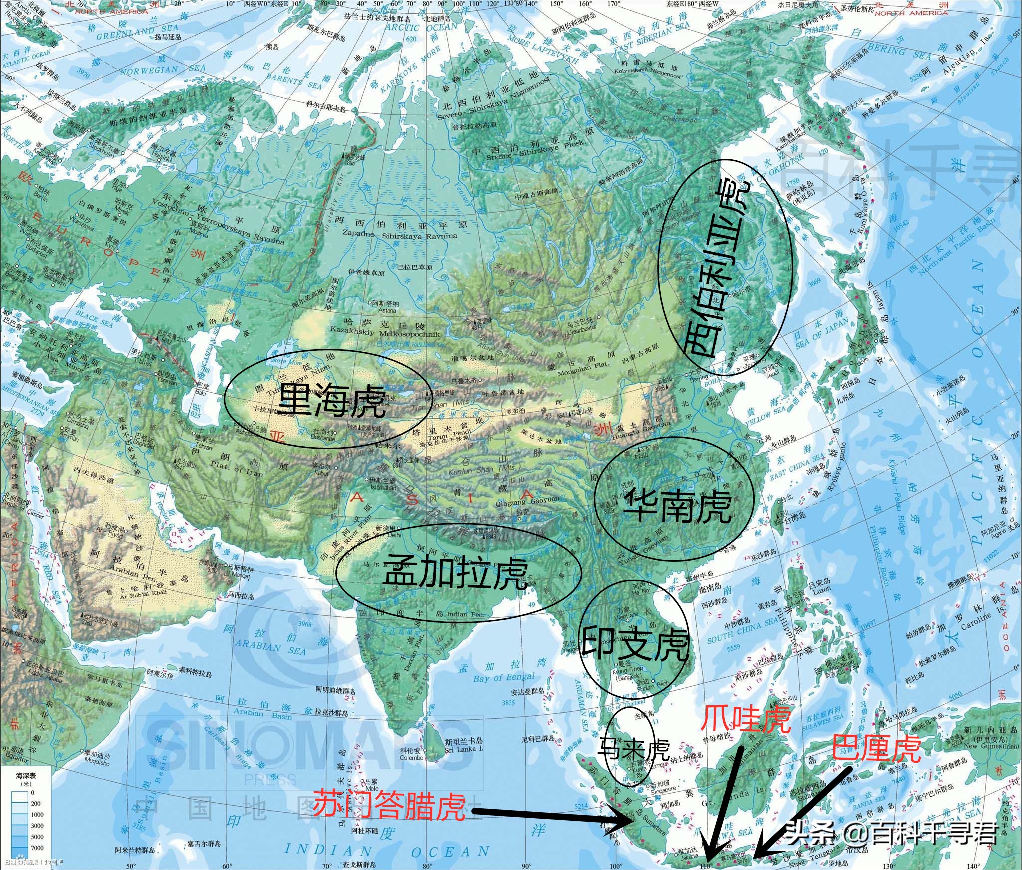 如何让灭绝的物种复活,怎样才能复活灭绝后的动物