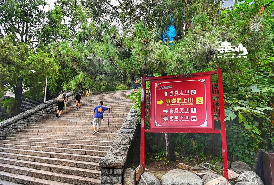 两天一夜泰山爬山攻略,泰山旅游最省力攻略