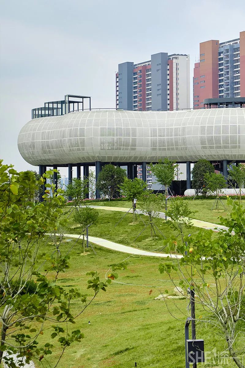 龙华新公园在哪里,深圳龙华区免费的公园