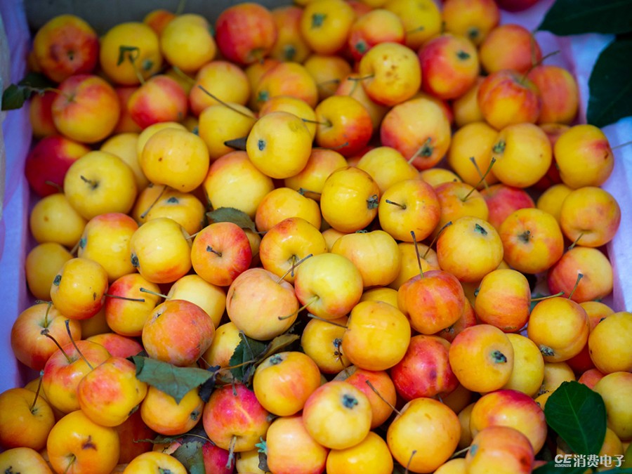 濂ユ灄宸存柉em1mark2璇勬祴瑙嗛,濂ユ灄宸存柉e-m1markiii浣跨敤浣撻獙