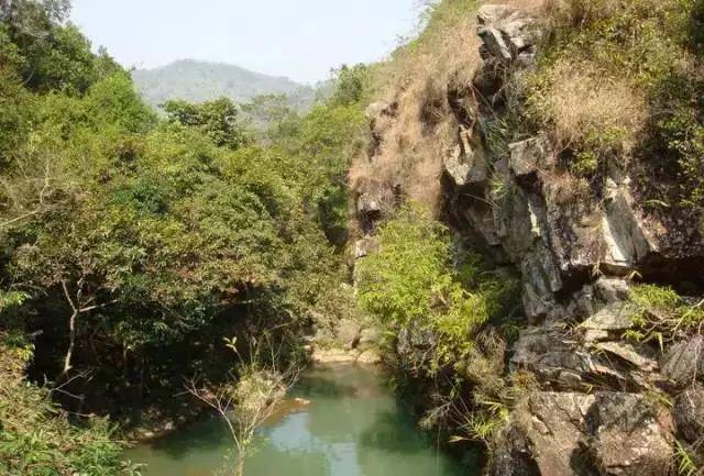 惠州润杨溪谷温泉别墅6房,惠州润杨溪谷别墅户型图