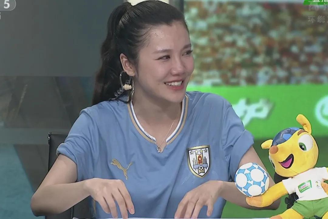 咋样收看欧洲杯足球回放,央视欧洲杯特别节目