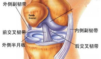 如何避免和缓解蛙泳膝盖疼,如何避免蛙泳腿膝盖过宽