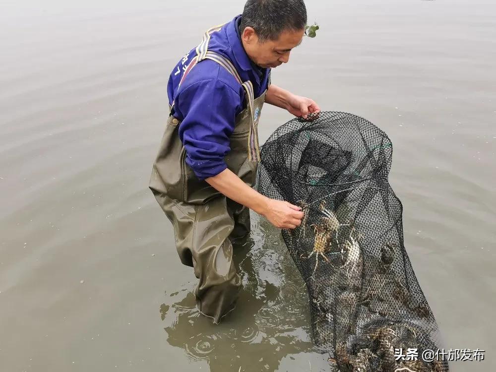 不负好春光文章,不负好春光的上一句