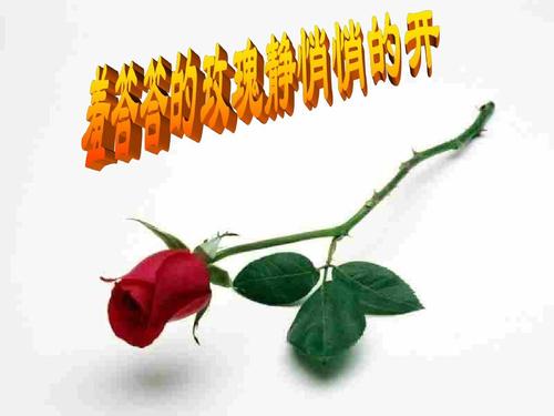 好奇害死猫安全教育视频,好奇害死猫的生活小常识