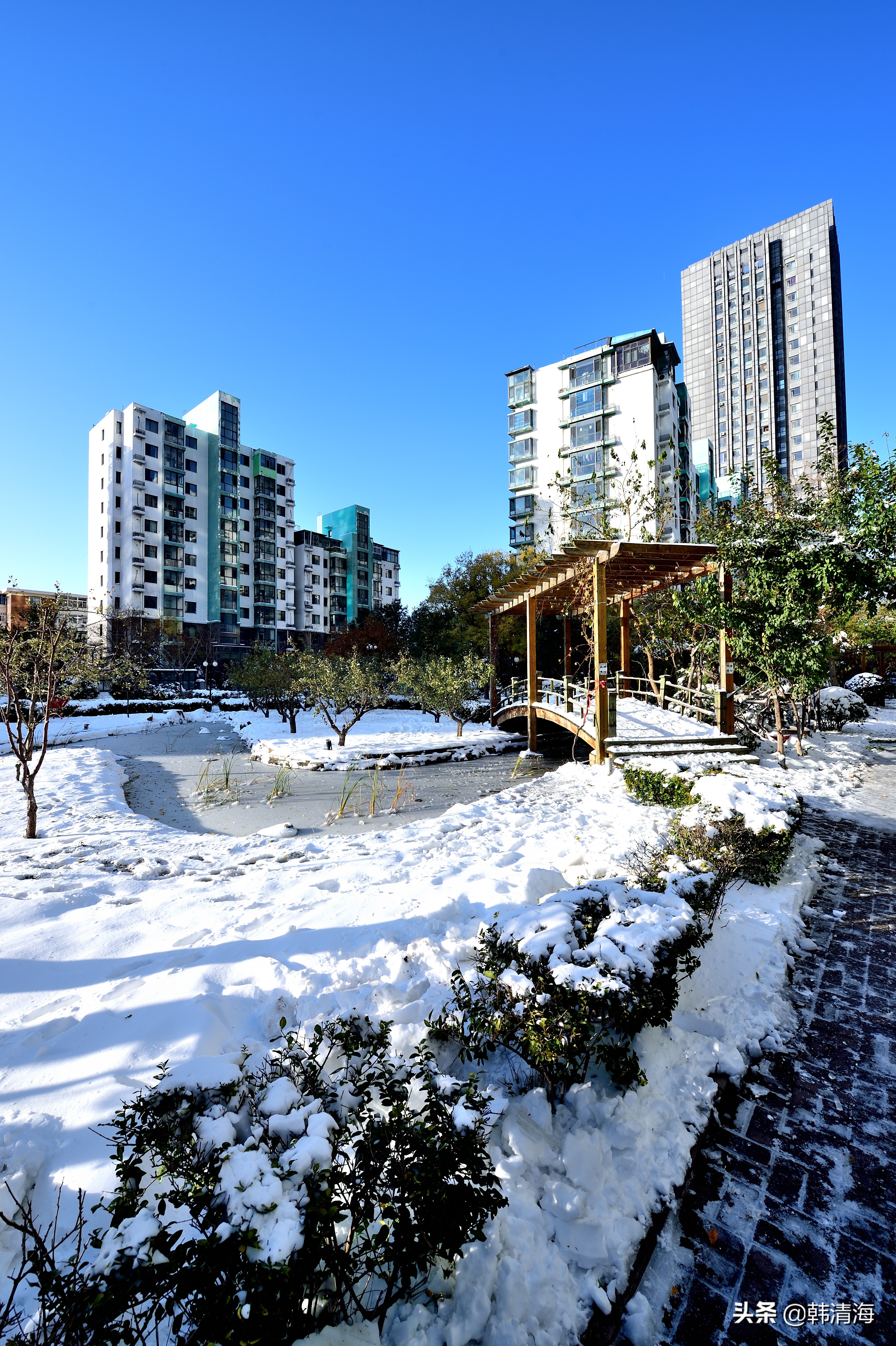 天津2022年雪景,天津第一场雪的美景
