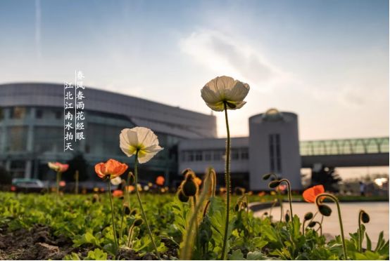 重返浙江大学,真实的浙江大学