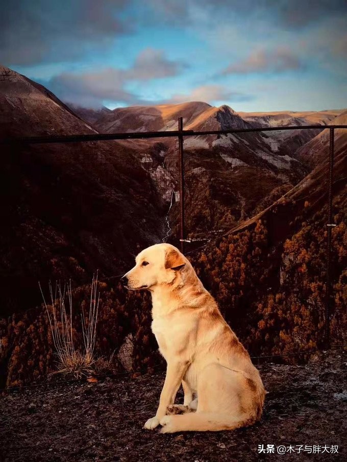 不惑之旅高加索格鲁吉亚,顺延翻译成英文
