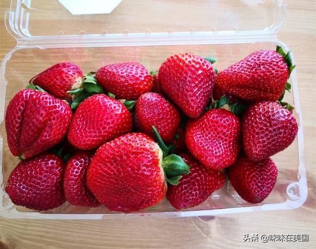 北美costco零食必买清单,北美costco适合中国口味的零食