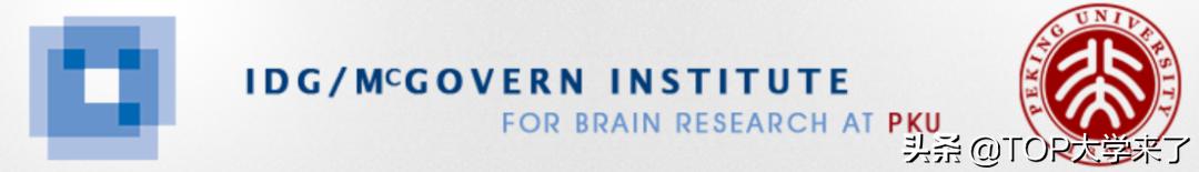 北京大学全球2%顶尖科学家名单,北京大学顶尖的研究所