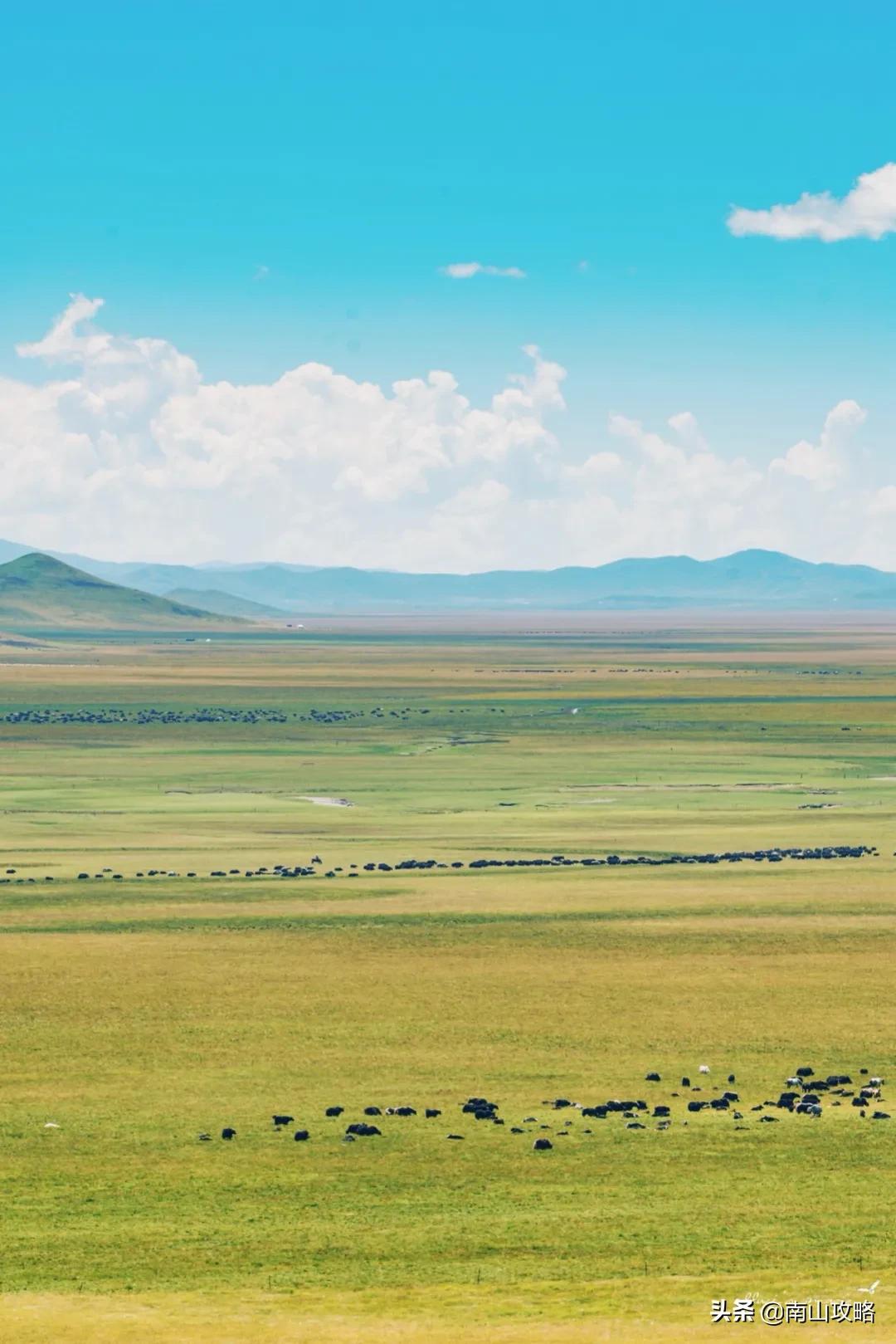8月避暑推荐 (七月避暑人少的地方)